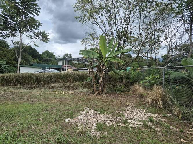 Lote 1000 m² plano cerca de escuela en Los Chiles, Pérez Zeledón - Imagen 4