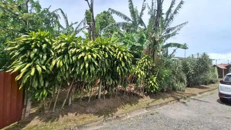 Venta  de terreno en Concepción de Tres Ríos, Cartago 18189 - Imagen 3