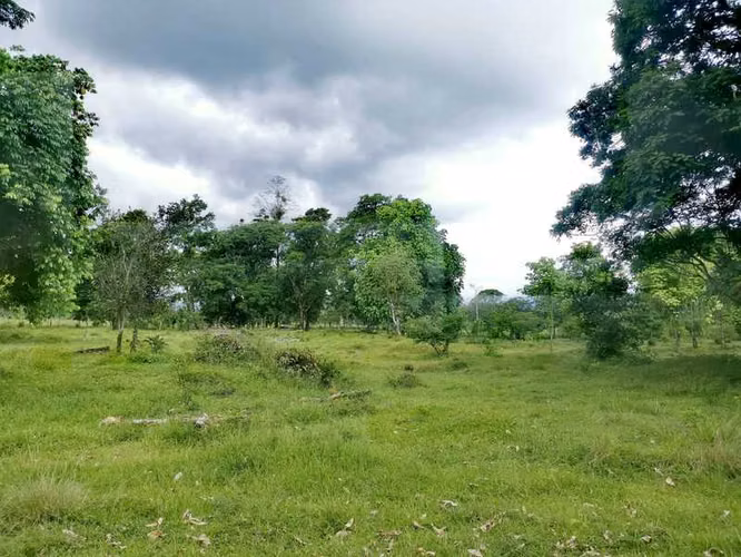 Venta de terreno en Guápiles por la Marina, Limón 15946