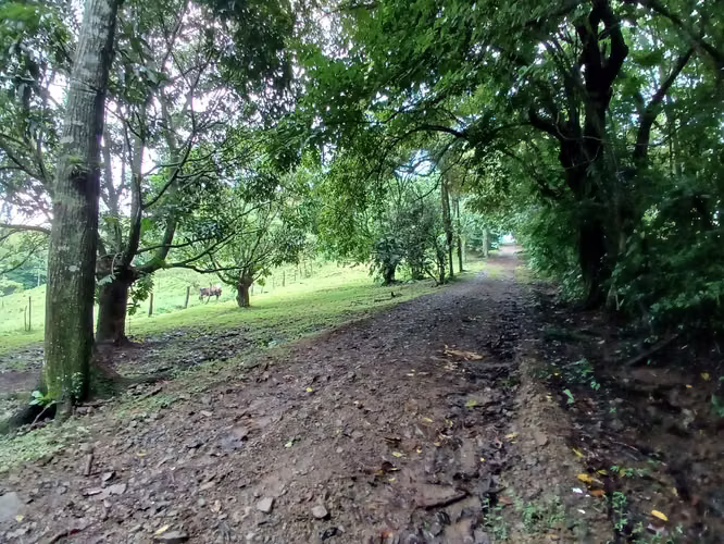 SE VENDE LOTE | San José Picares