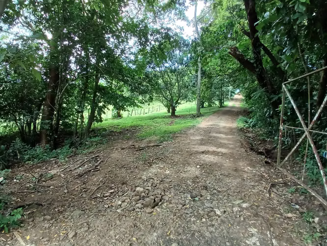 SE VENDE LOTE | San José Picares