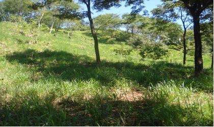 FINCA EN VENTA – PASO HONDO, SANTA CRUZ, GUANACASTE - Imagen 2