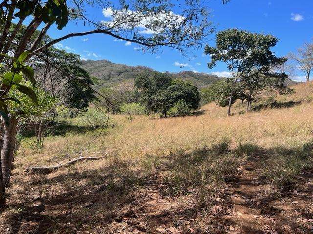 FINCA EN VENTA – PASO HONDO, SANTA CRUZ, GUANACASTE - Imagen 1