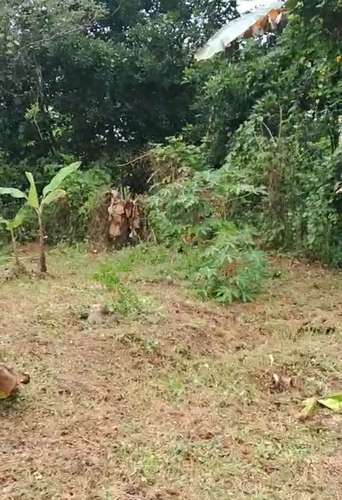 Venta de Terreno en Horquetas de Sarapiquí, Heredia - Imagen 7