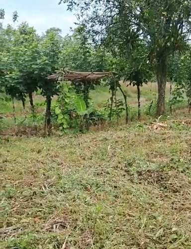 Venta de Terreno en Horquetas de Sarapiquí, Heredia - Imagen 9