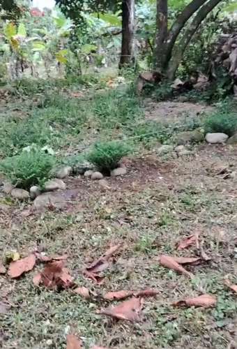 Venta de Terreno en Horquetas de Sarapiquí, Heredia - Imagen 5