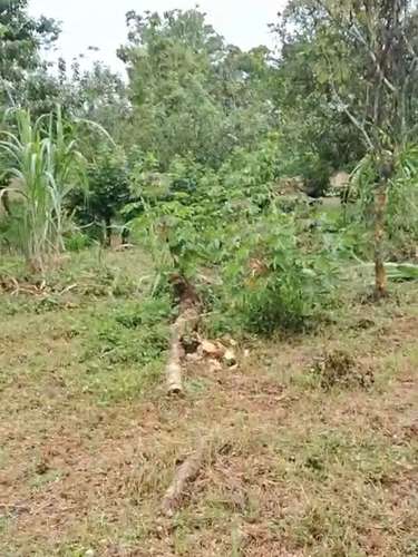 Venta de Terreno en Horquetas de Sarapiquí, Heredia - Imagen 8