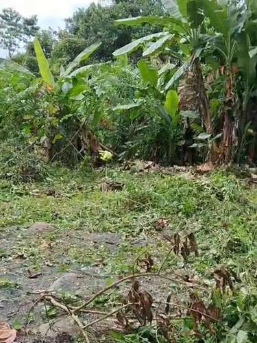 Land Sale in Sarapiqui Horquettes, Heredia
