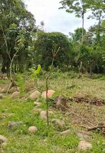 Venta de Terreno en Horquetas de Sarapiquí, Heredia - Imagen 3