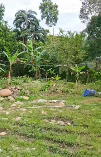 Venta de Terreno en Horquetas de Sarapiquí, Heredia - Imagen 4