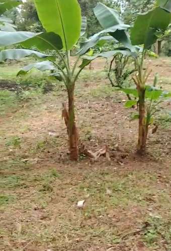 Venta de Terreno en Horquetas de Sarapiquí, Heredia - Imagen 6