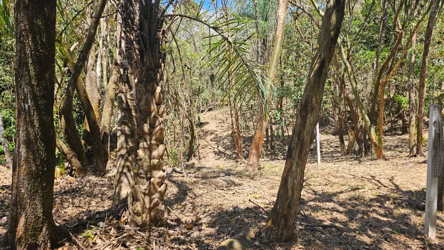 Venta de Quintas en Posada del Sol, San Pedro de Turrubares, San José - Imagen 8