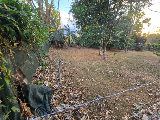 Terreno en San Pedro de Turrubares, San José - Imagen 4