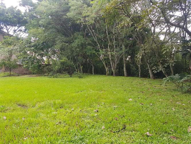 Terreno plano con Uso de Suelo Mixto en Piedades de Santa Ana, San José - Imagen 4