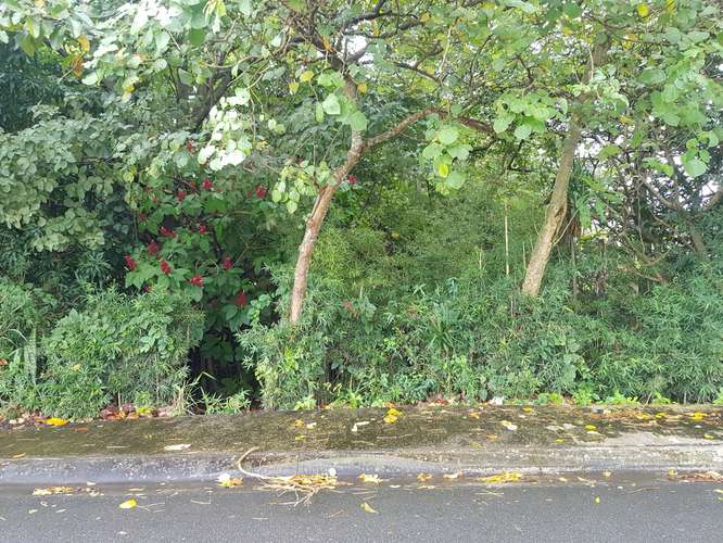 Terreno plano con Uso de Suelo Mixto en Piedades de Santa Ana, San José - Imagen 5