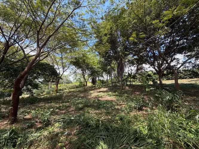SE VENDE Lote de +22,000m2 - Labrador de San Mateo - Precio negociable - Imagen 2