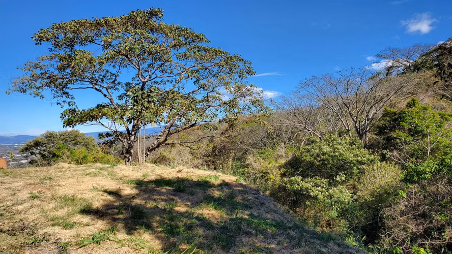 LOTE EN VENTA – USO UNIFAMILIAR Y MUTIFAMILIAR 1.291 m². VISTA AL VALLE - Imagen 12