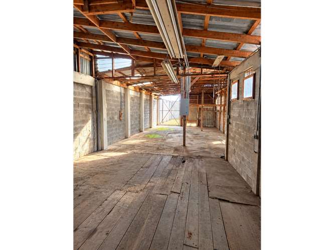 Venta local comercial y bodega en Coronado centro - Uso mixto - Imagen 16