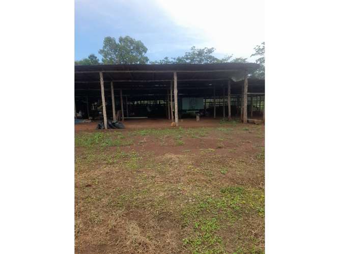 Finca en Venta en Upala | 7 Hectáreas con Infraestructura Ganadera - Imagen 2