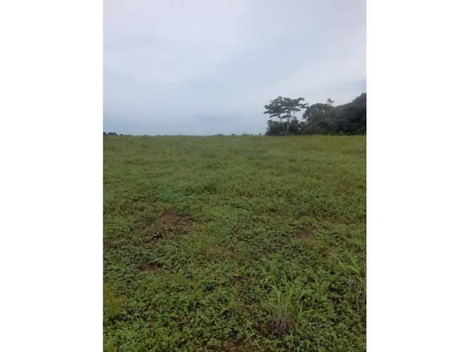 Finca en Venta en Upala | 7 Hectáreas con Infraestructura Ganadera - Imagen 10