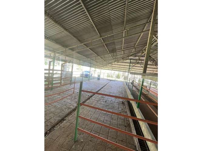 Finca en Venta en Upala | 7 Hectáreas con Infraestructura Ganadera - Imagen 16