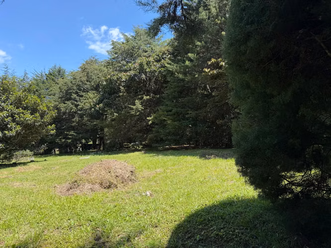 Lote de montaña, San Rafael de Heredia ,Bosque de la hoja - Imagen 7