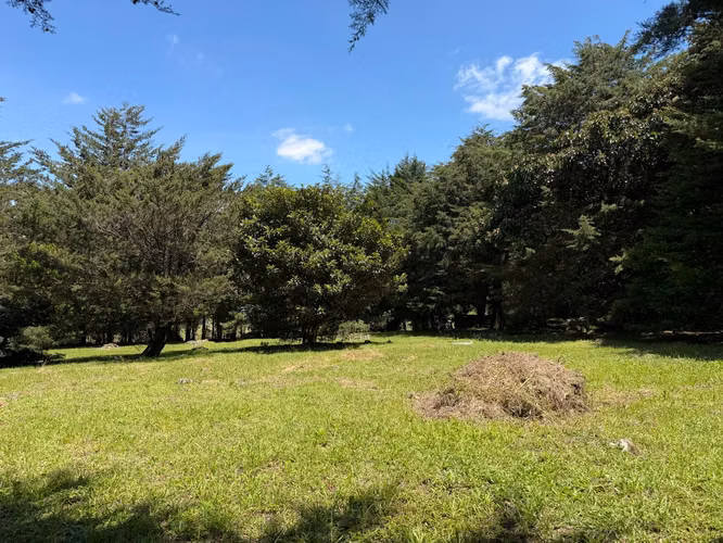 Lote de montaña, San Rafael de Heredia ,Bosque de la hoja - Imagen 6