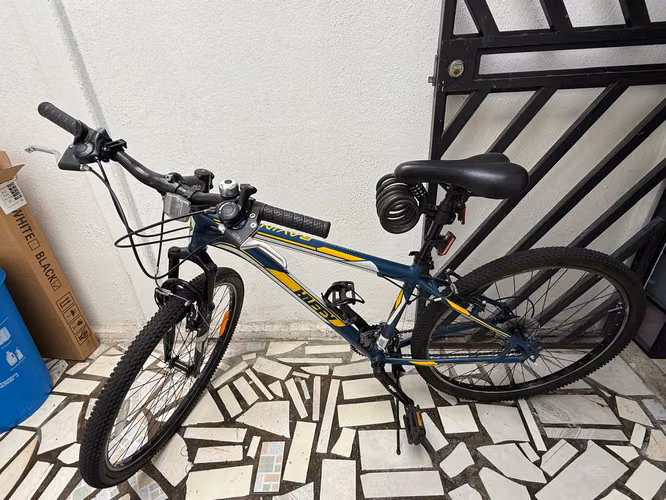 Bicicleta de montaña