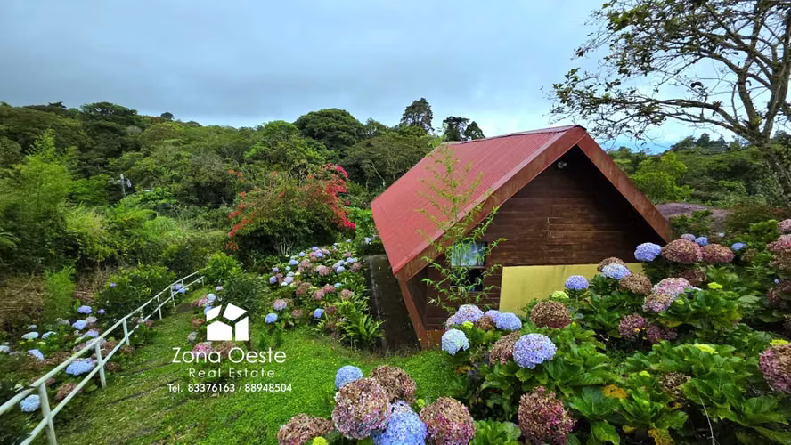 VENTA FINCA! 1 Hectárea, uso suelo mixto, Santa Elena, San Isidro Heredia, cerca de ruta 32 - Imagen 12