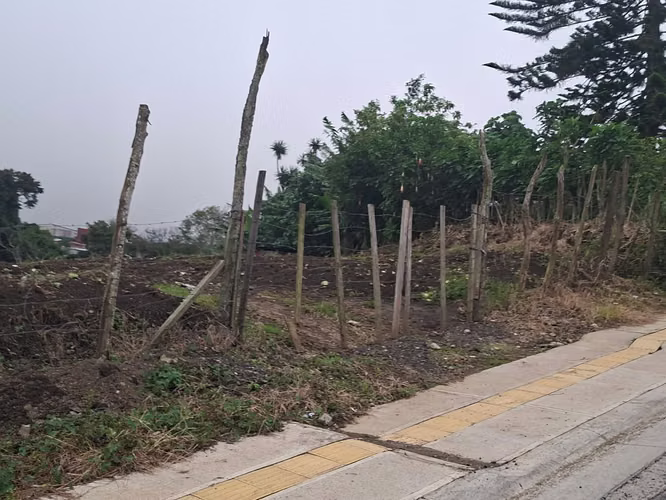 Lote plano mixto de alta densidad en Coronado - Imagen 11