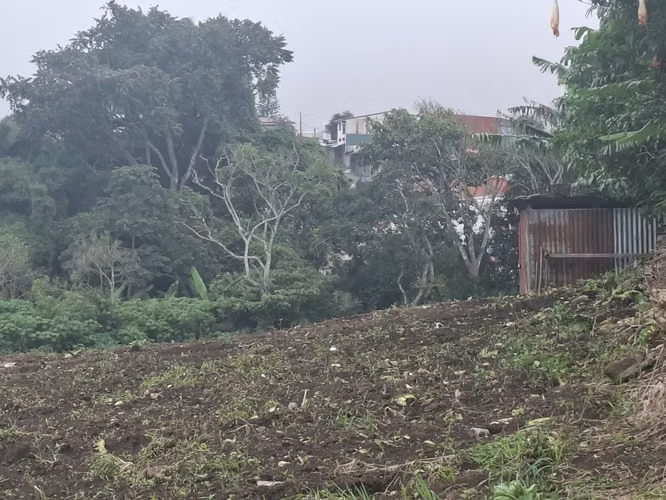 Lote plano mixto de alta densidad en Coronado - Imagen 1