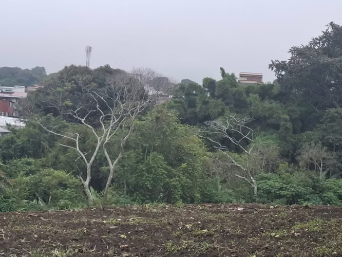 Lote plano mixto de alta densidad en Coronado - Imagen 2