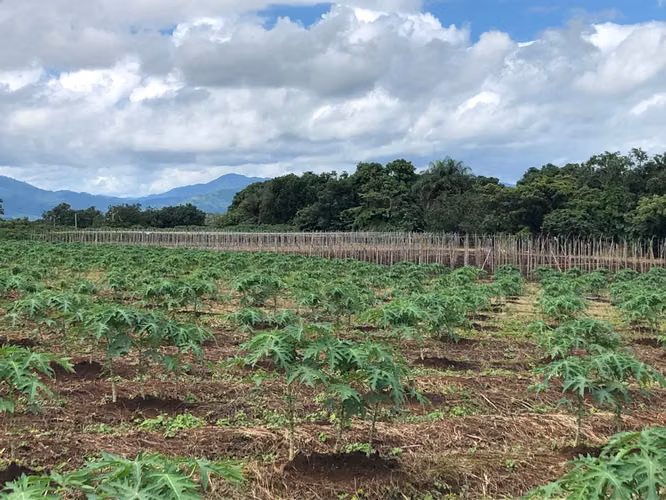 SE VENDE, Terreno en  Orotina multiples usos de suelo  GVO - Imagen 7