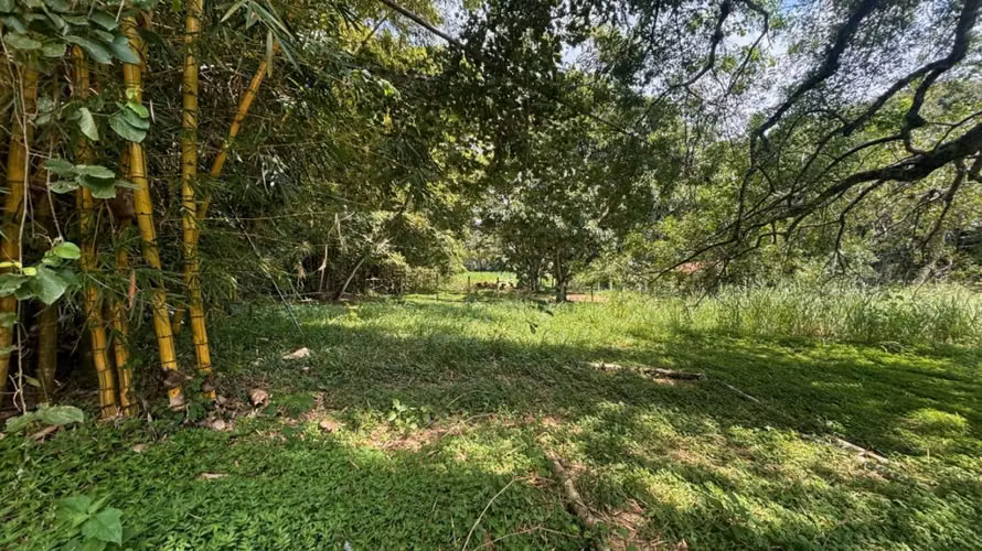 2 lotes se venden en el mismo residencial con porton comunal 3 minutos de Atenas Centro - Imagen 8