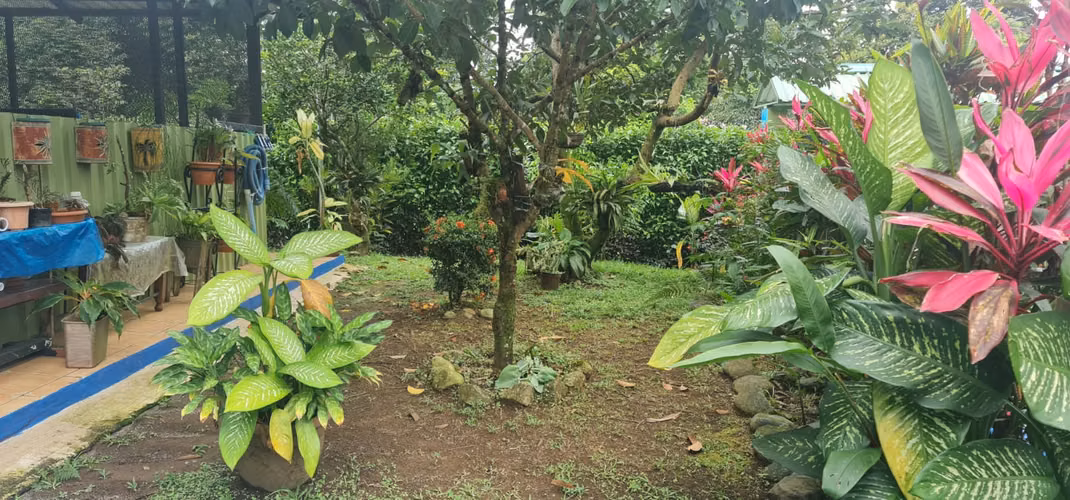 Se Vende esta Hermosa Propiedad en Sarapiqui,  en San Bernardino. 