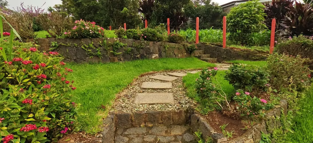 Espectacular Lote con encanto natural en concepción de San Isidro de Heredia - Imagen 5