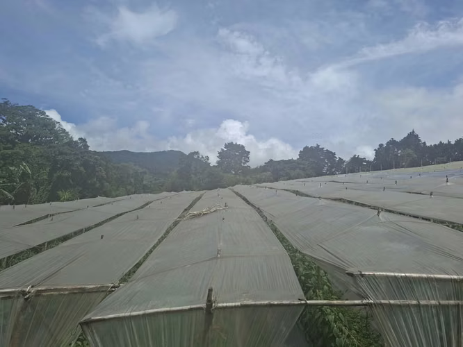  Lote industrial 8.750 m² Ruta 32 Heredia - Imagen 10