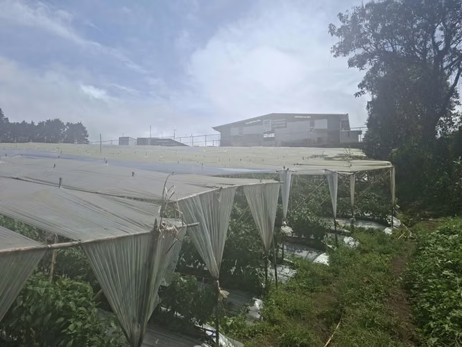  Lote industrial 8.750 m² Ruta 32 Heredia - Imagen 9
