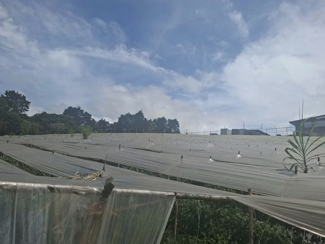  Lote industrial 8.750 m² Ruta 32 Heredia - Imagen 8