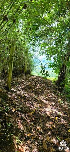 Lindo terreno en venta Providencia de Paramo Perez Zeledon - Imagen 20