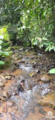 Lindo terreno en venta Providencia de Paramo Perez Zeledon - Imagen 3