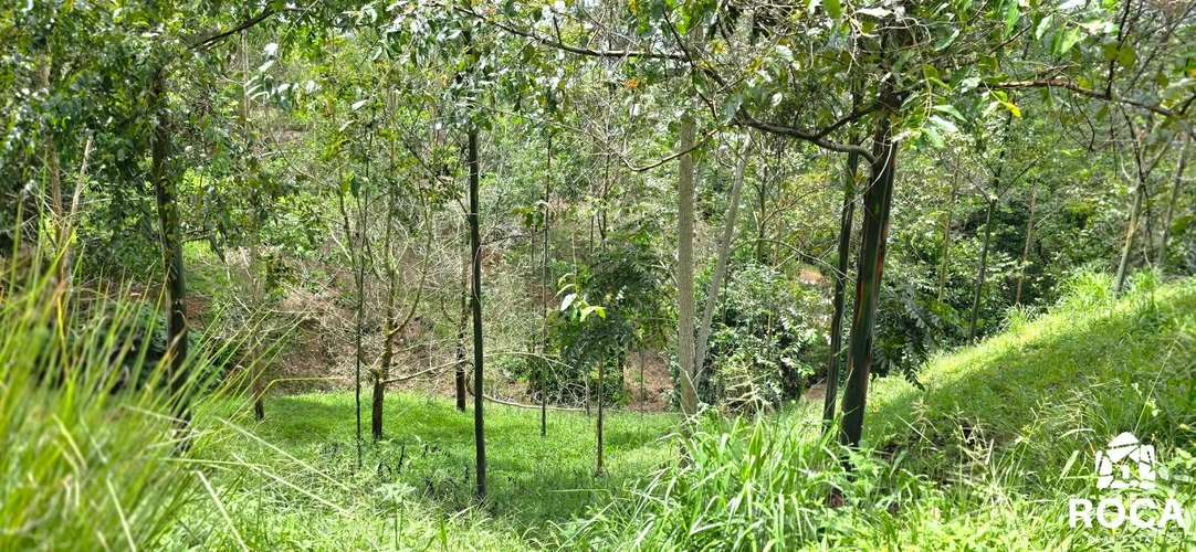 Lindo terreno en venta Providencia de Paramo Perez Zeledon - Imagen 13