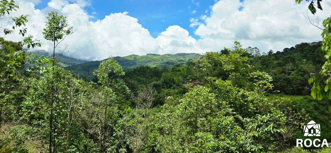 Lindo terreno en venta Providencia de Paramo Perez Zeledon - Imagen 5