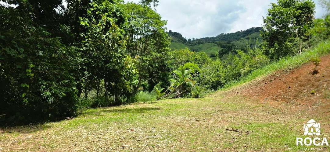 Lindo terreno en venta Providencia de Paramo Perez Zeledon - Imagen 4