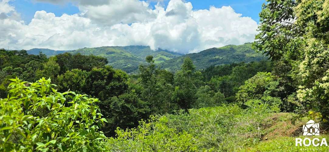 Lindo terreno en venta Providencia de Paramo Perez Zeledon - Imagen 8