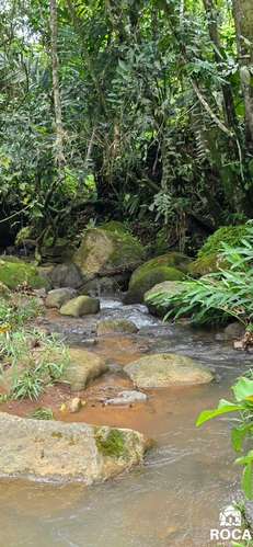 Lindo terreno en venta Providencia de Paramo Perez Zeledon - Imagen 9