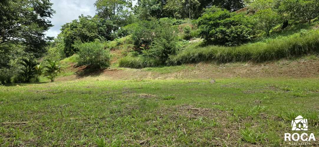 Lindo terreno en venta Providencia de Paramo Perez Zeledon - Imagen 6