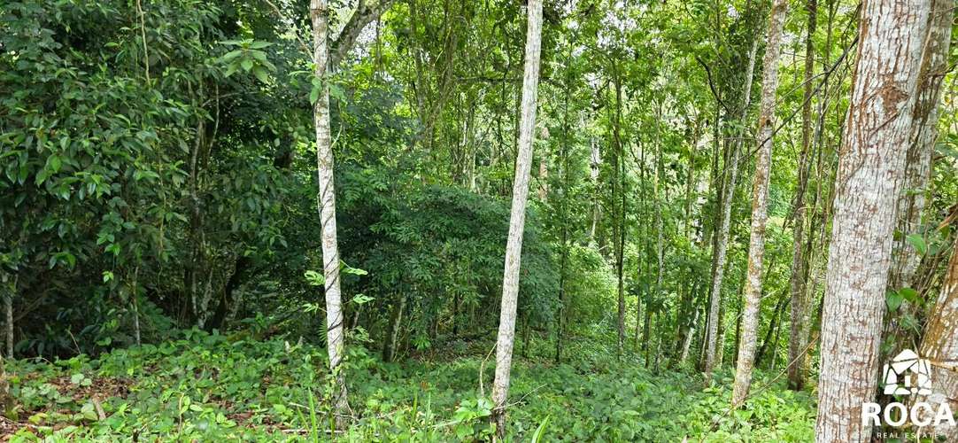 Lindo terreno en venta Providencia de Paramo Perez Zeledon - Imagen 18