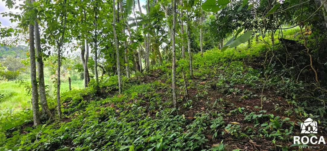 Lindo terreno en venta Providencia de Paramo Perez Zeledon - Imagen 19