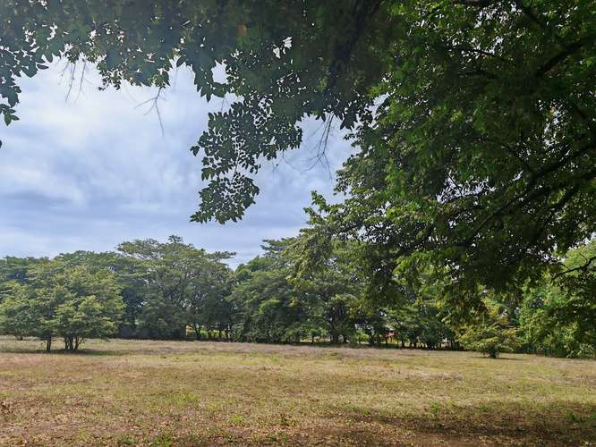 Se vende hermoso terreno en Sardinal Guanacaste 